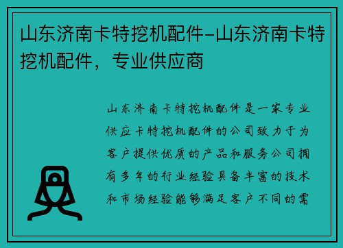 山东济南卡特挖机配件-山东济南卡特挖机配件，专业供应商